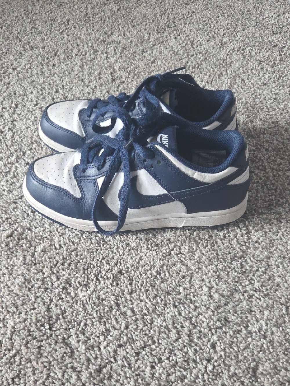 Nike Dunks Kids Navy and White Low-Top Sneakers with Laces